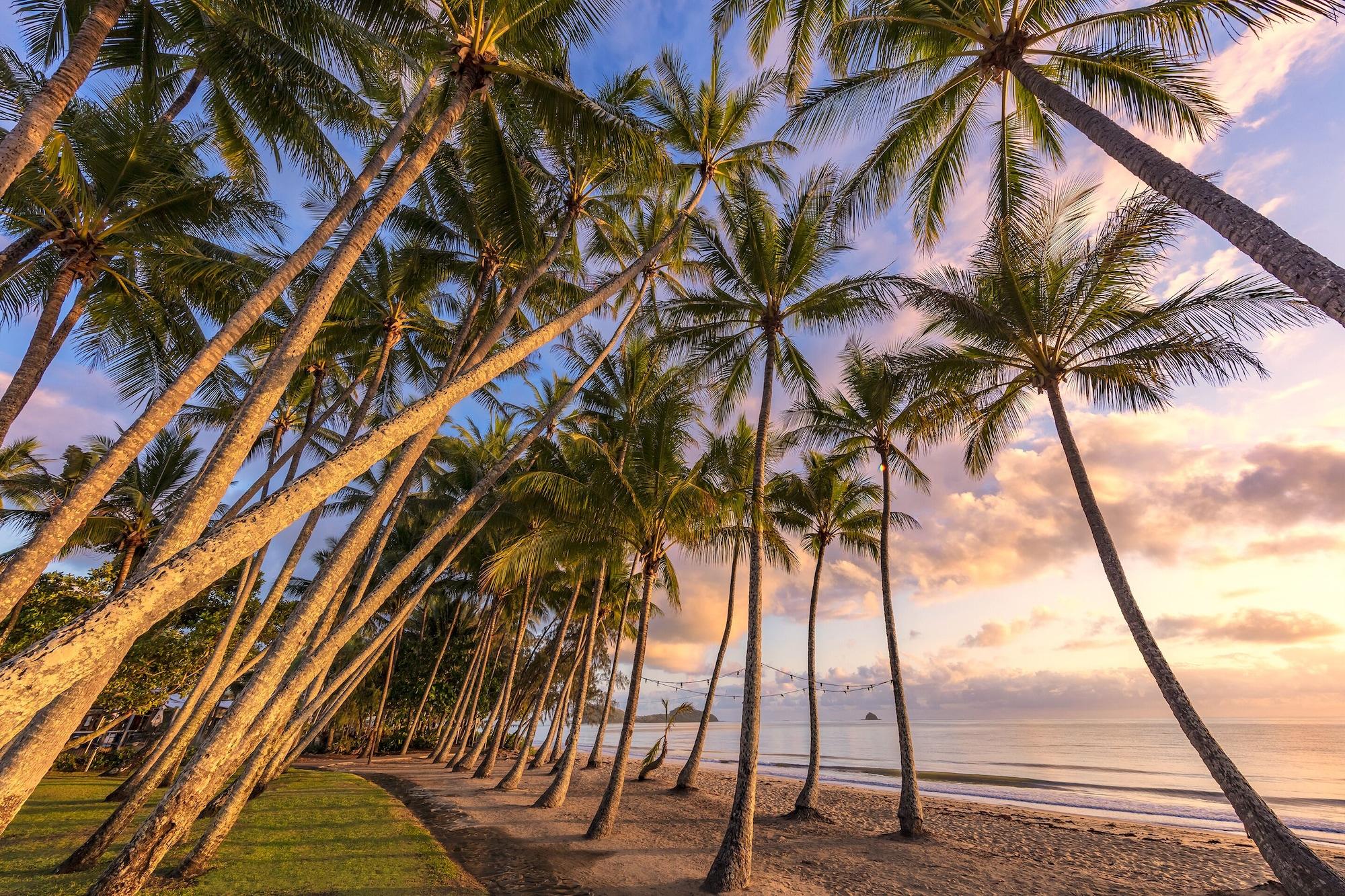 Praia Drift Palm Cove