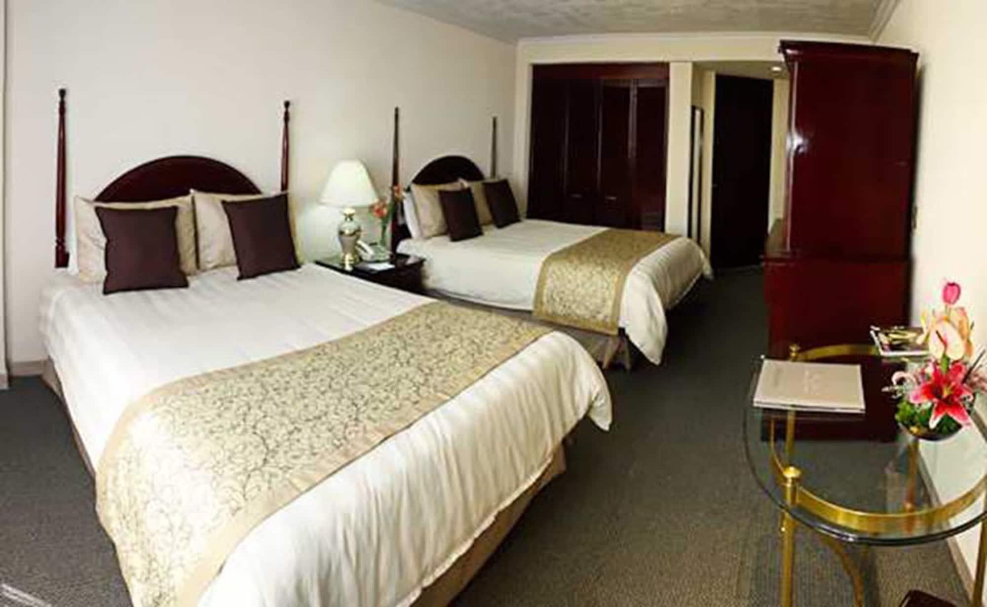 Habitación Hotel Pedregal Palace