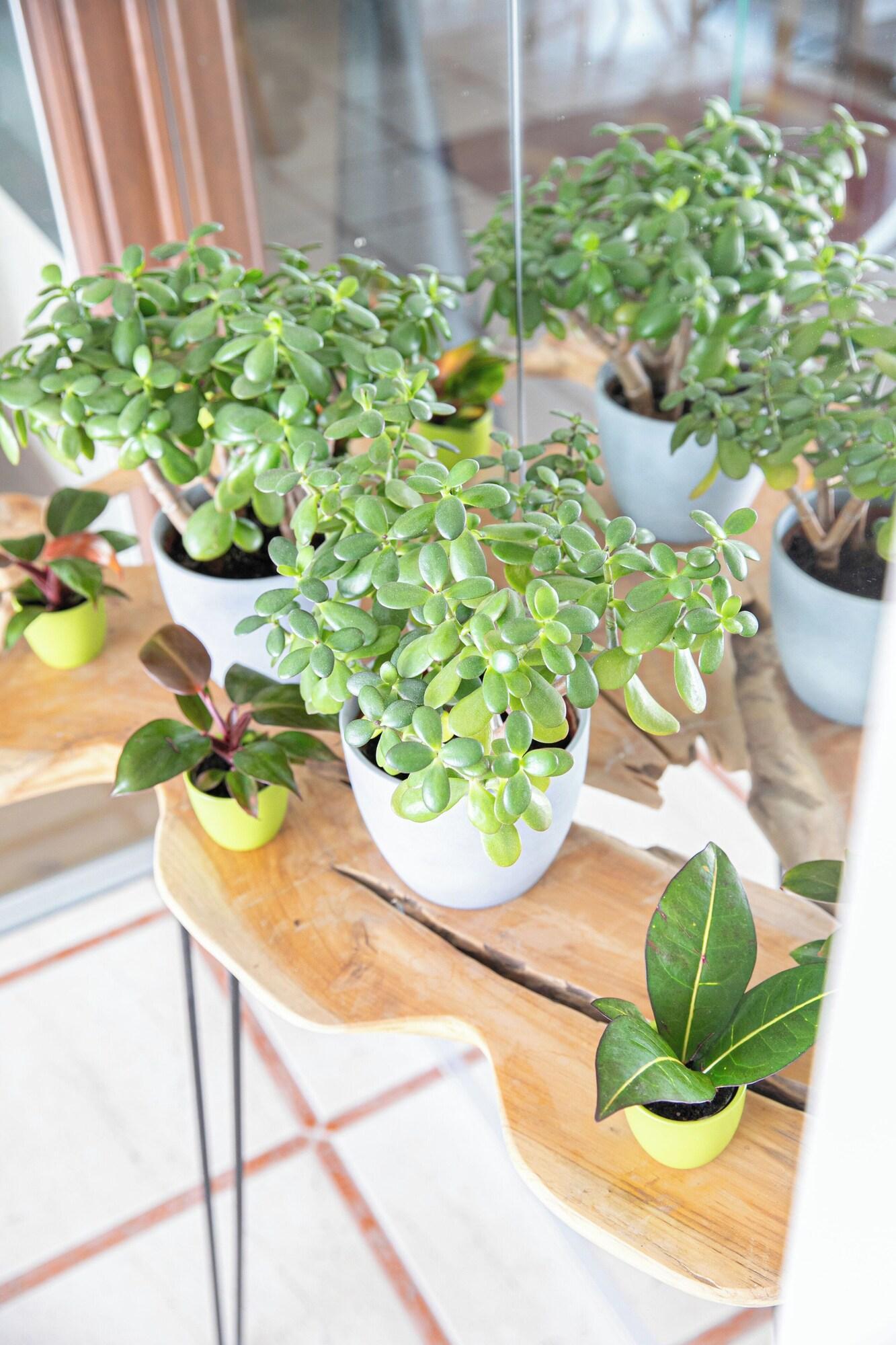 Vista Lobby Das Reinisch Business Hotel