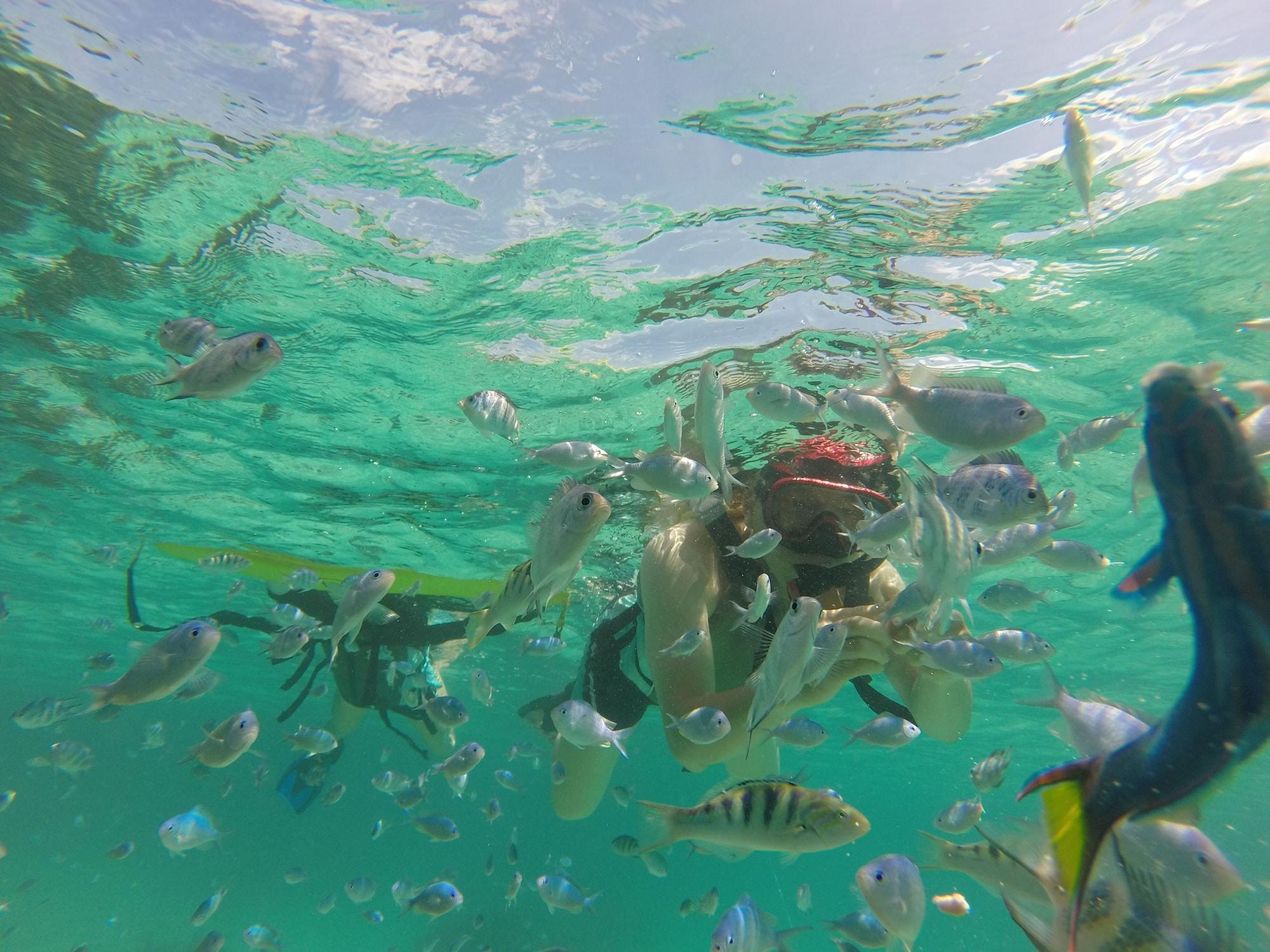 Instalaciones Recreativas Little Mermaid Hotel Ishigakijima