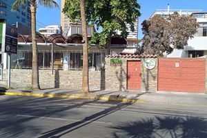 Hotel - Palm Hostal