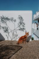 Alojamiento - Petradi Hotel