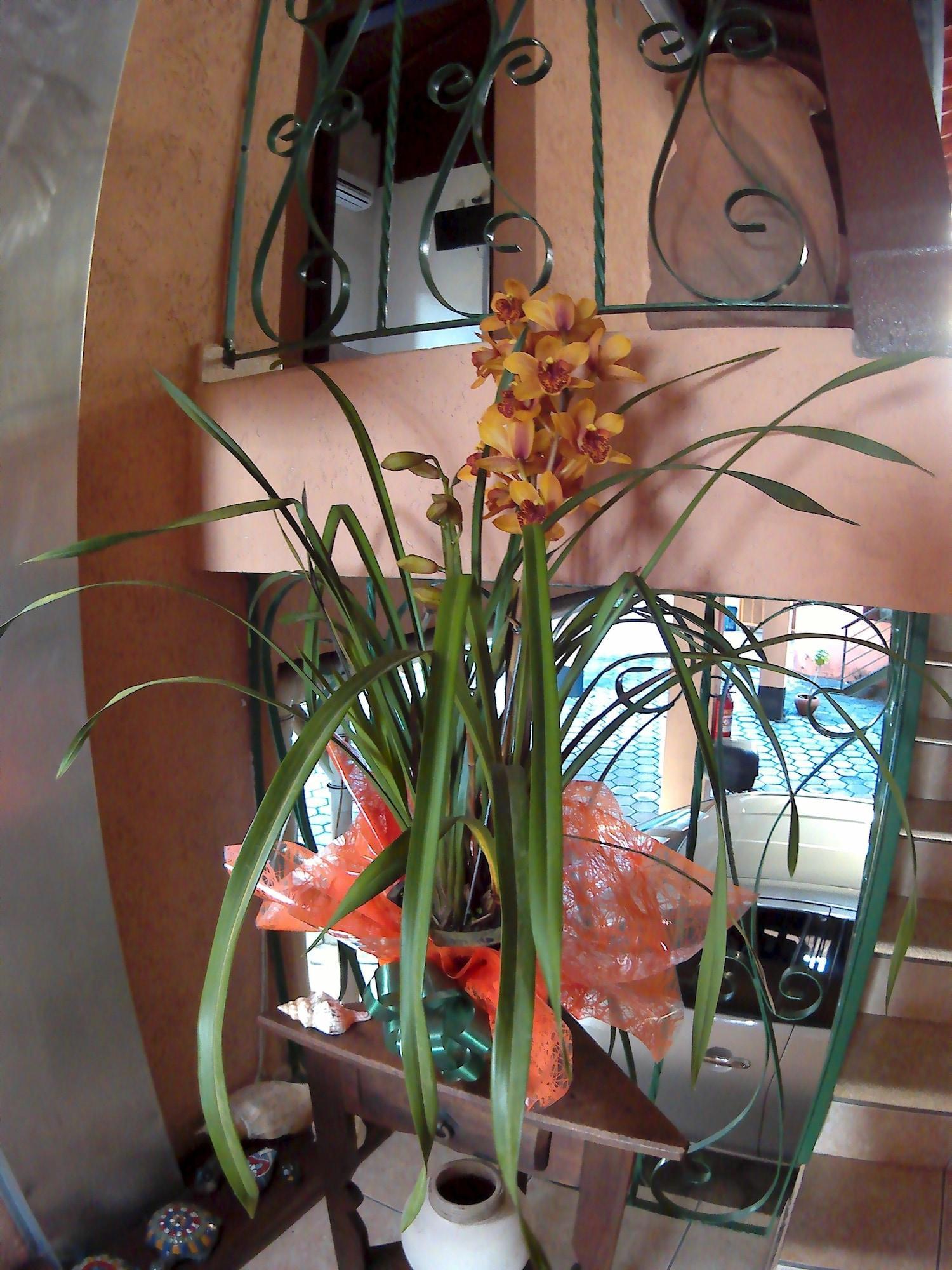 Vista Lobby Pousada Irmaos do Mar