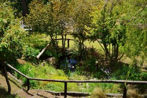 Alojamiento - Residencia Pioneros