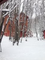 Alquiler Vacacional - Bosque del Faldeo