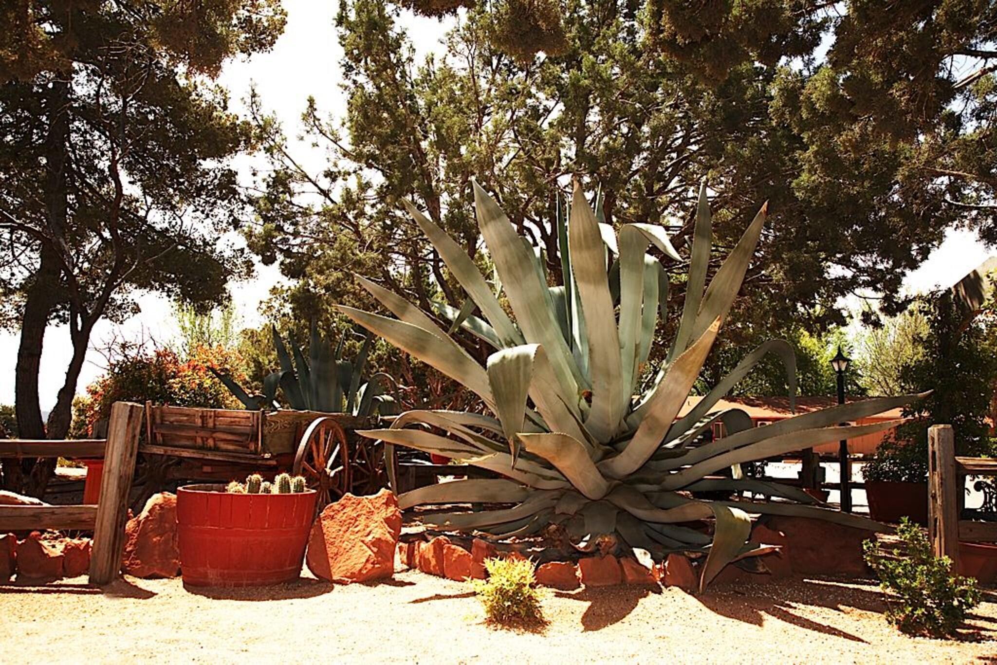 Varios Sky Ranch Lodge