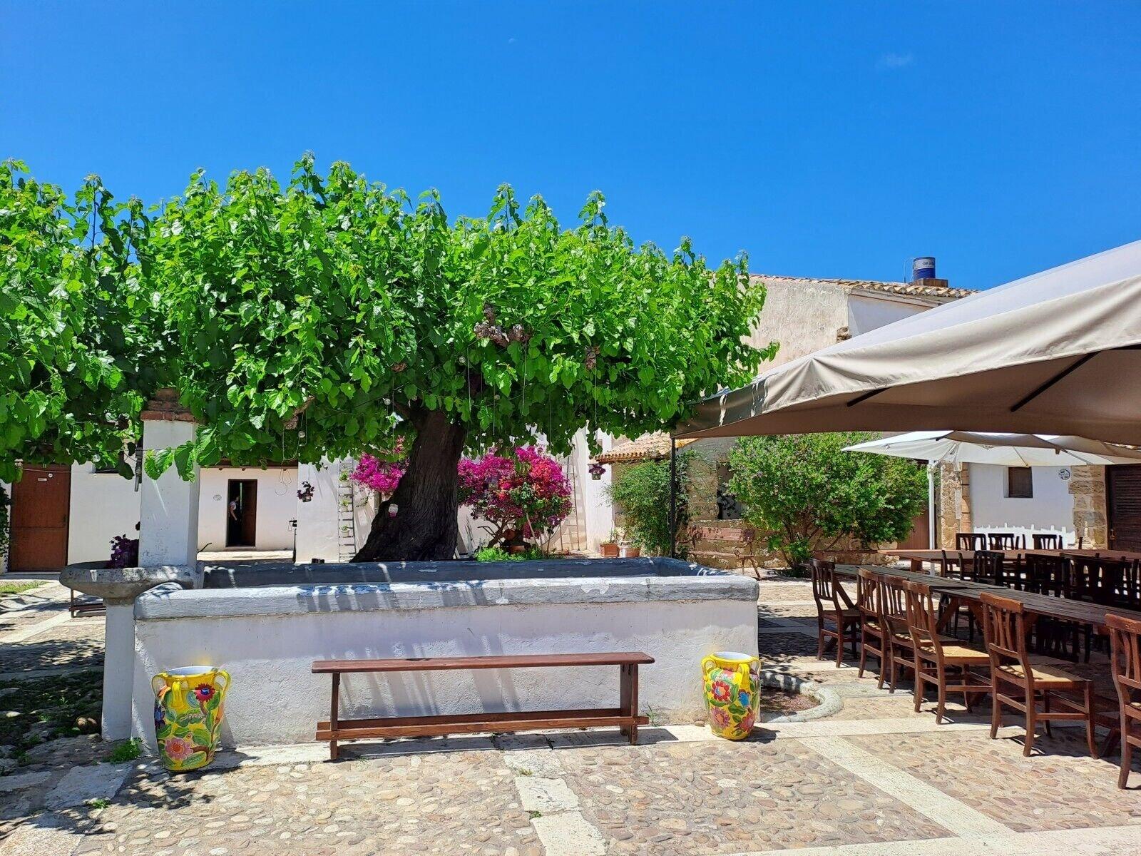 Varios Fattoria Manostalla