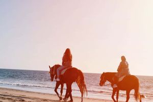 Actividad - Paseo a caballo por la costa de Agadir