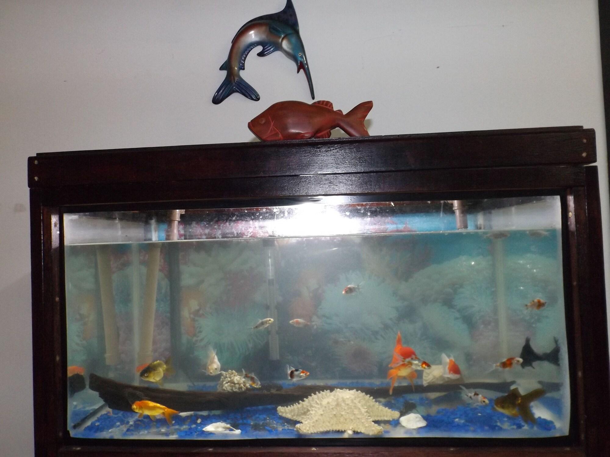 Vista Lobby Hostel Lize