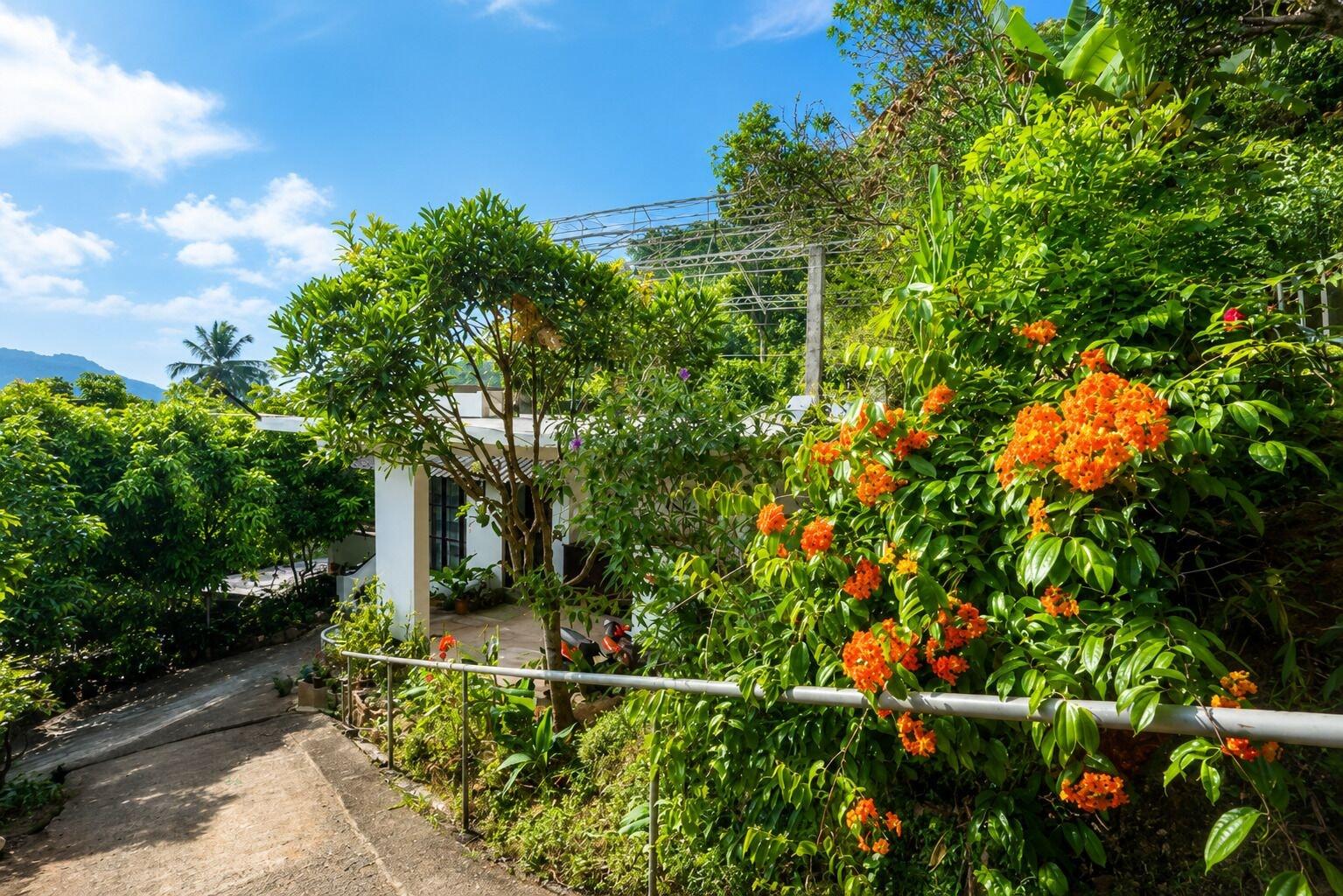 Vista Exterior Hilltop Retreat Matale