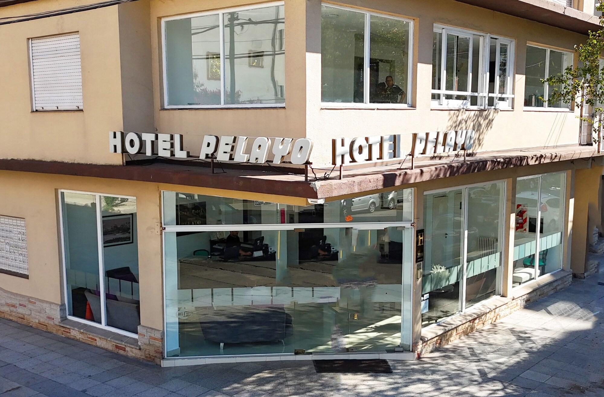 Varios Hotel Pelayo