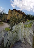 Alojamiento - Agriturismo Il Poderaccio