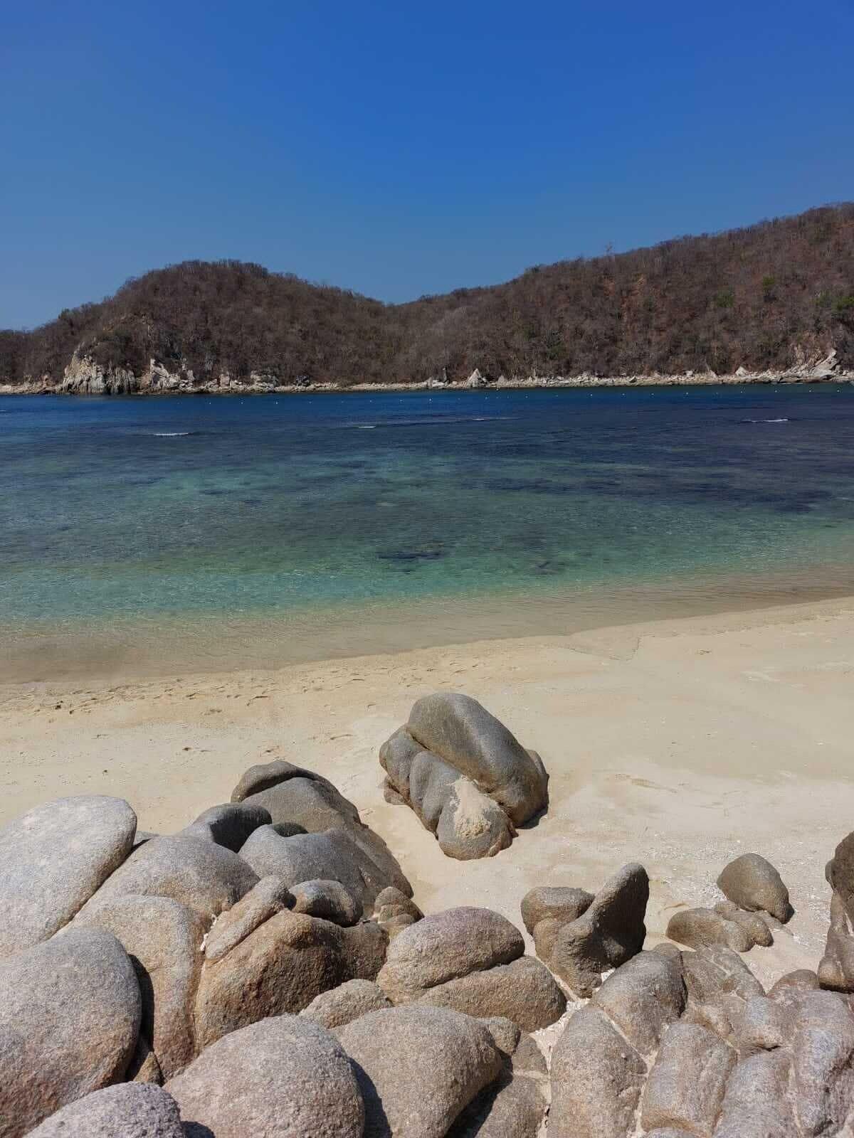 Playa Planta Glamp Farm