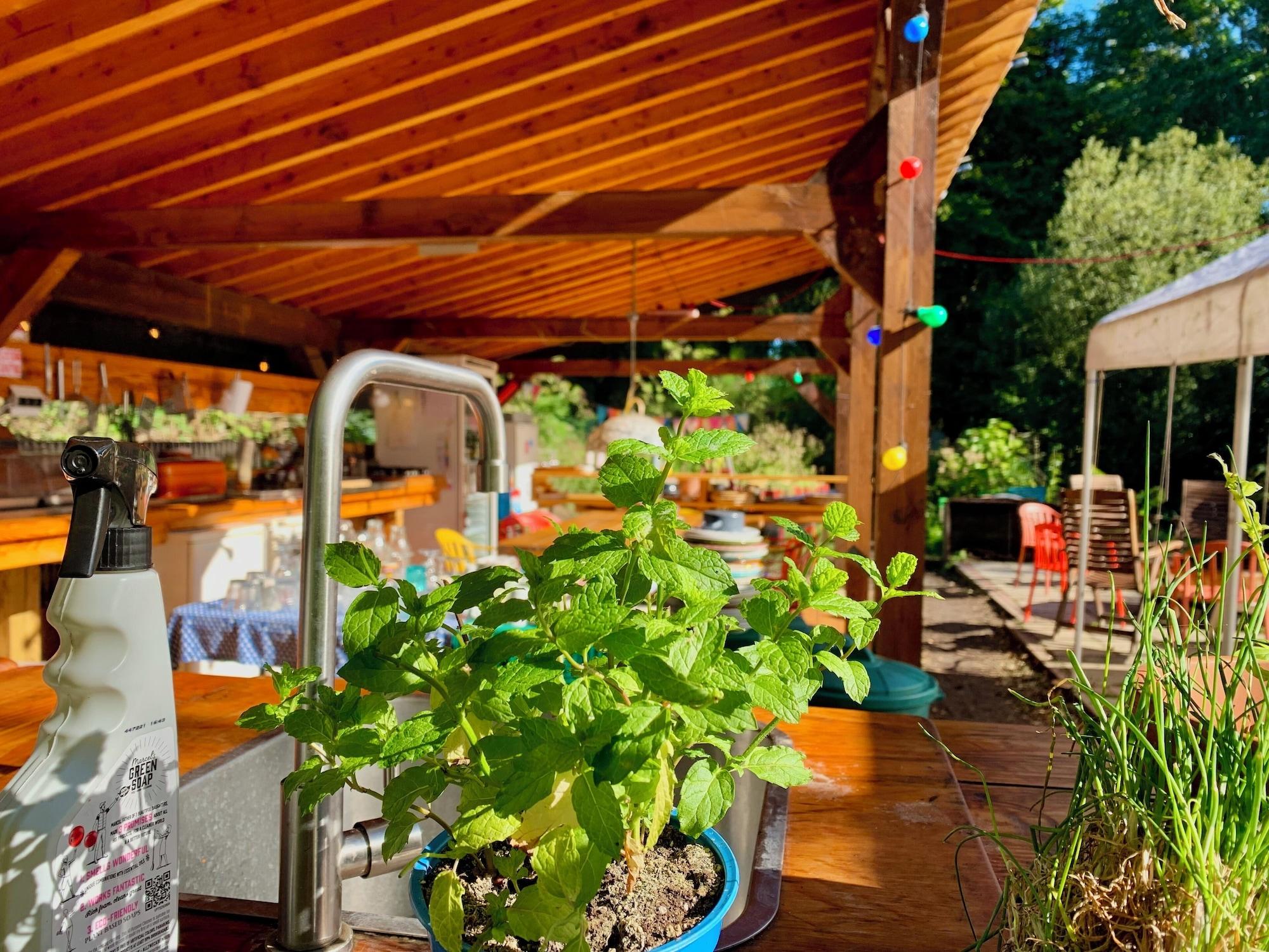 Vista Exterior Camping De Helleborus