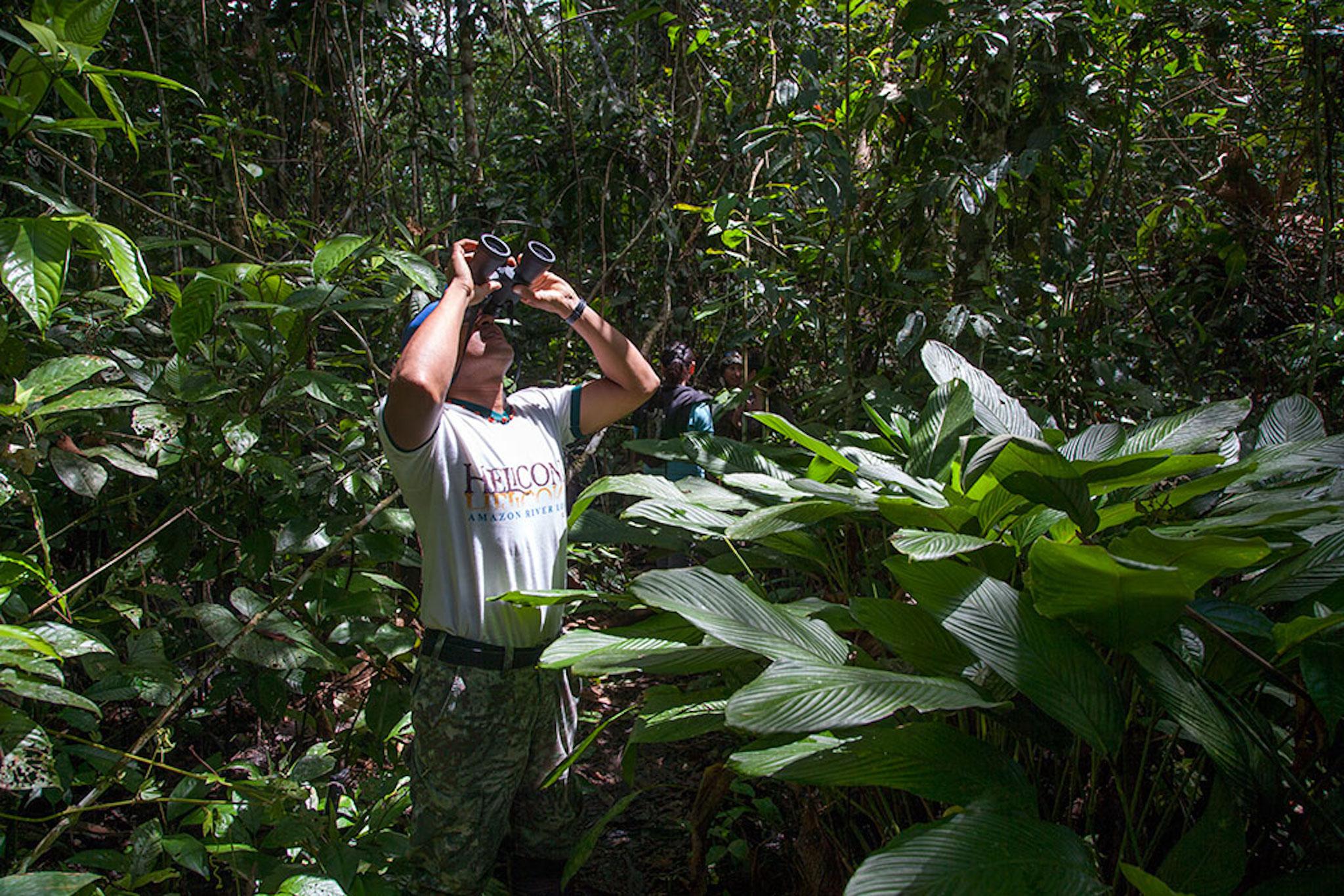 Instalaciones Recreativas Heliconia Amazon River Lodge