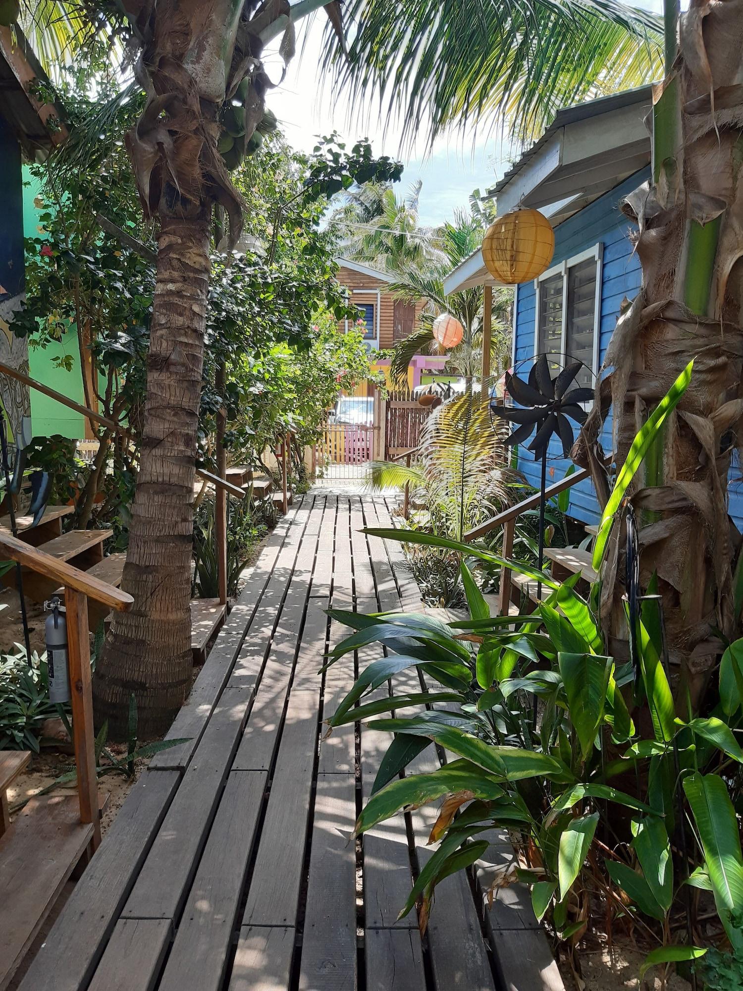 Vista Exterior The Funky Dodo Backpackers