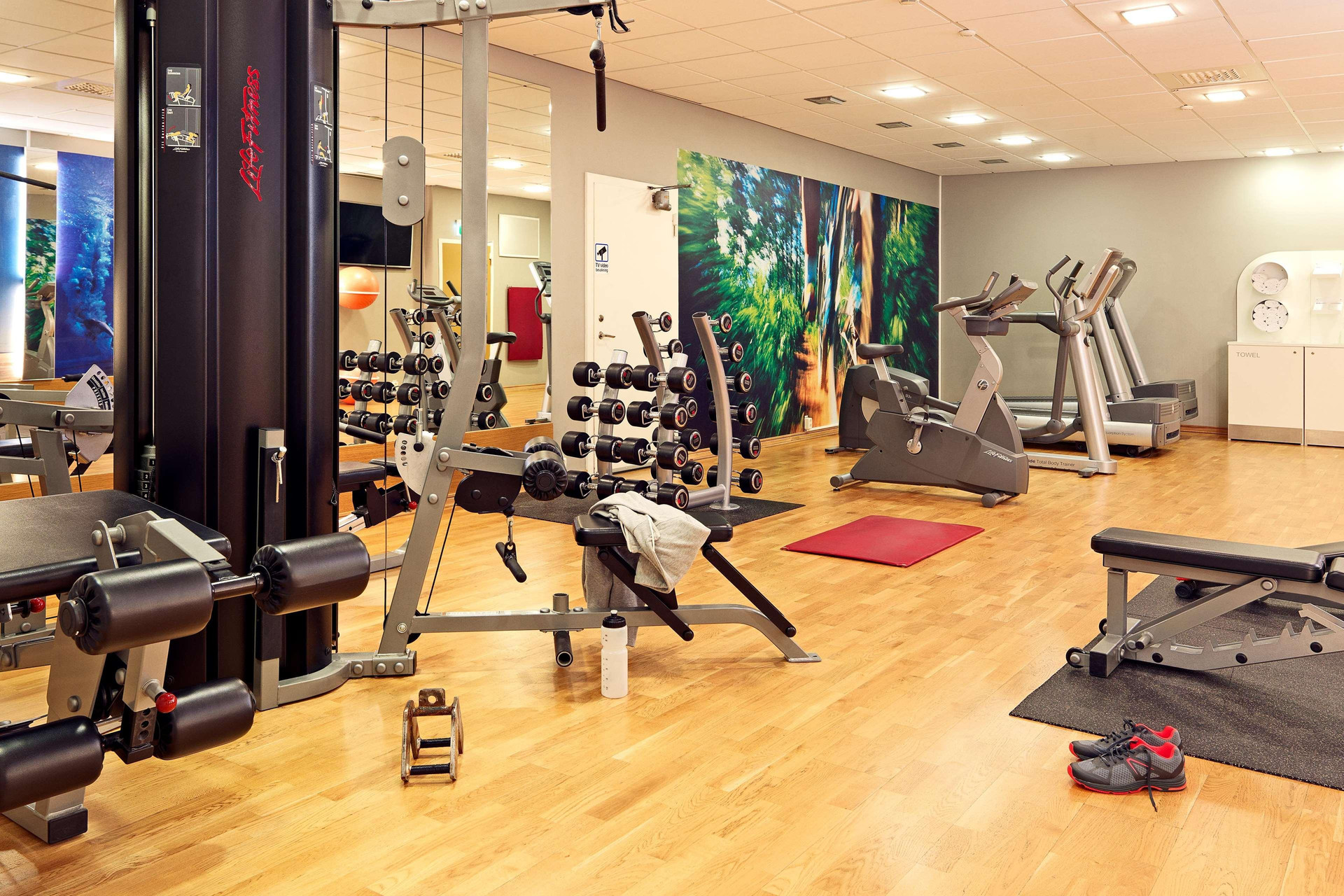 Gimnasio Scandic Backadal