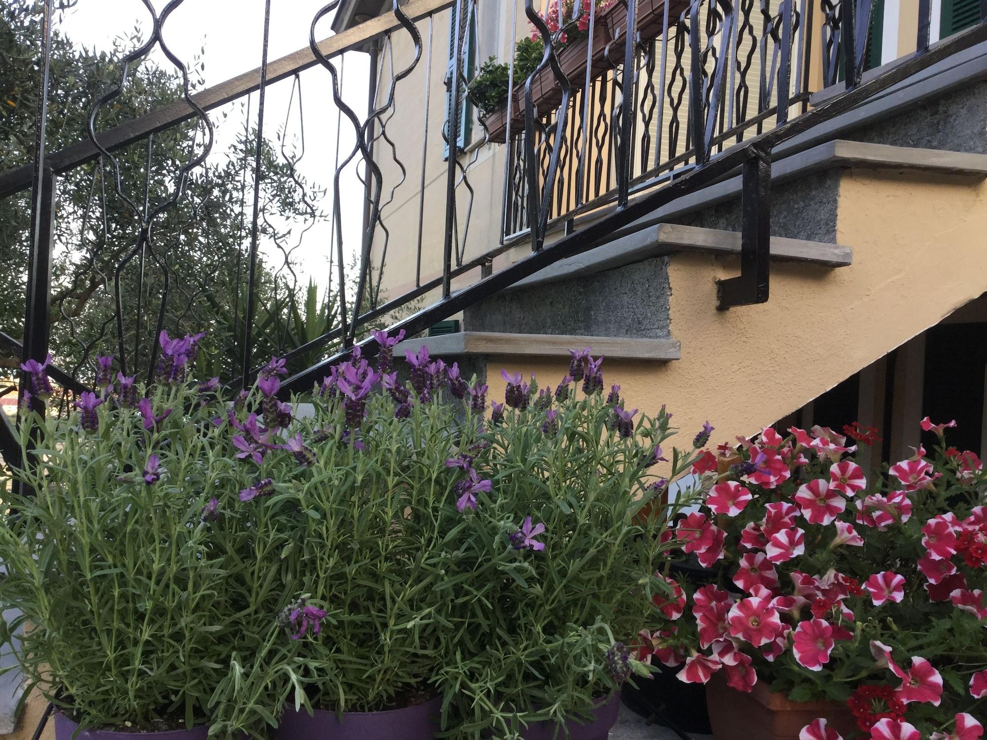 Comodidades del Alojamiento Affittacamere Cá Leon