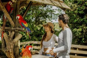 Actividad - FULL DAY PUERTO NARIÑO-ISLA MICOS