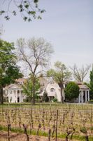Alojamiento - Riverbend Inn and Vineyard