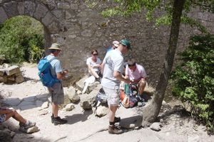 Alojamiento - B&B Domaine Mediterranee