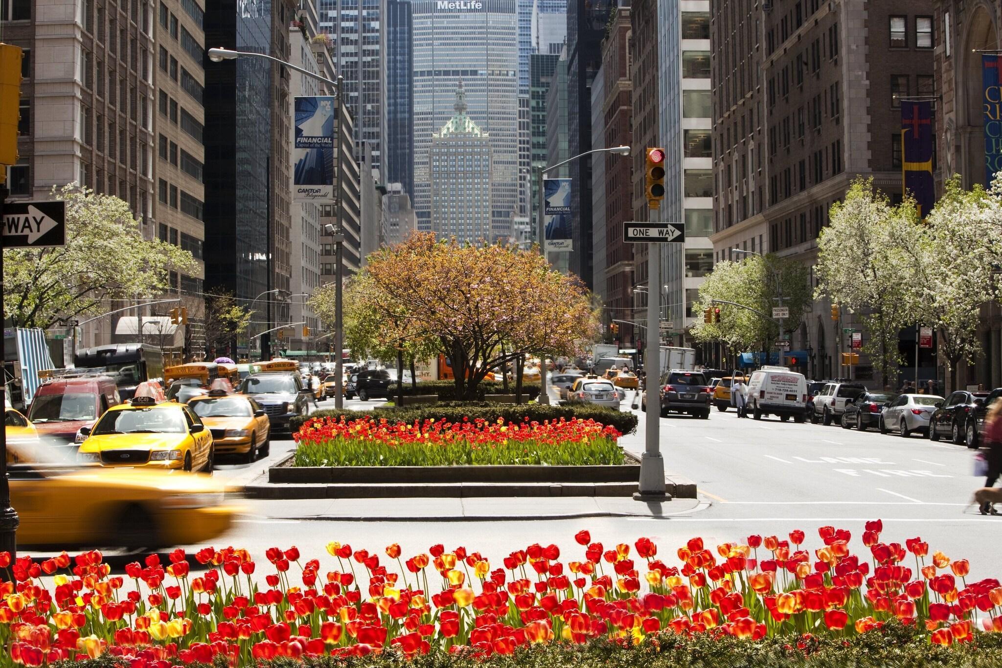 Vista Exterior Loews Regency New York Hotel