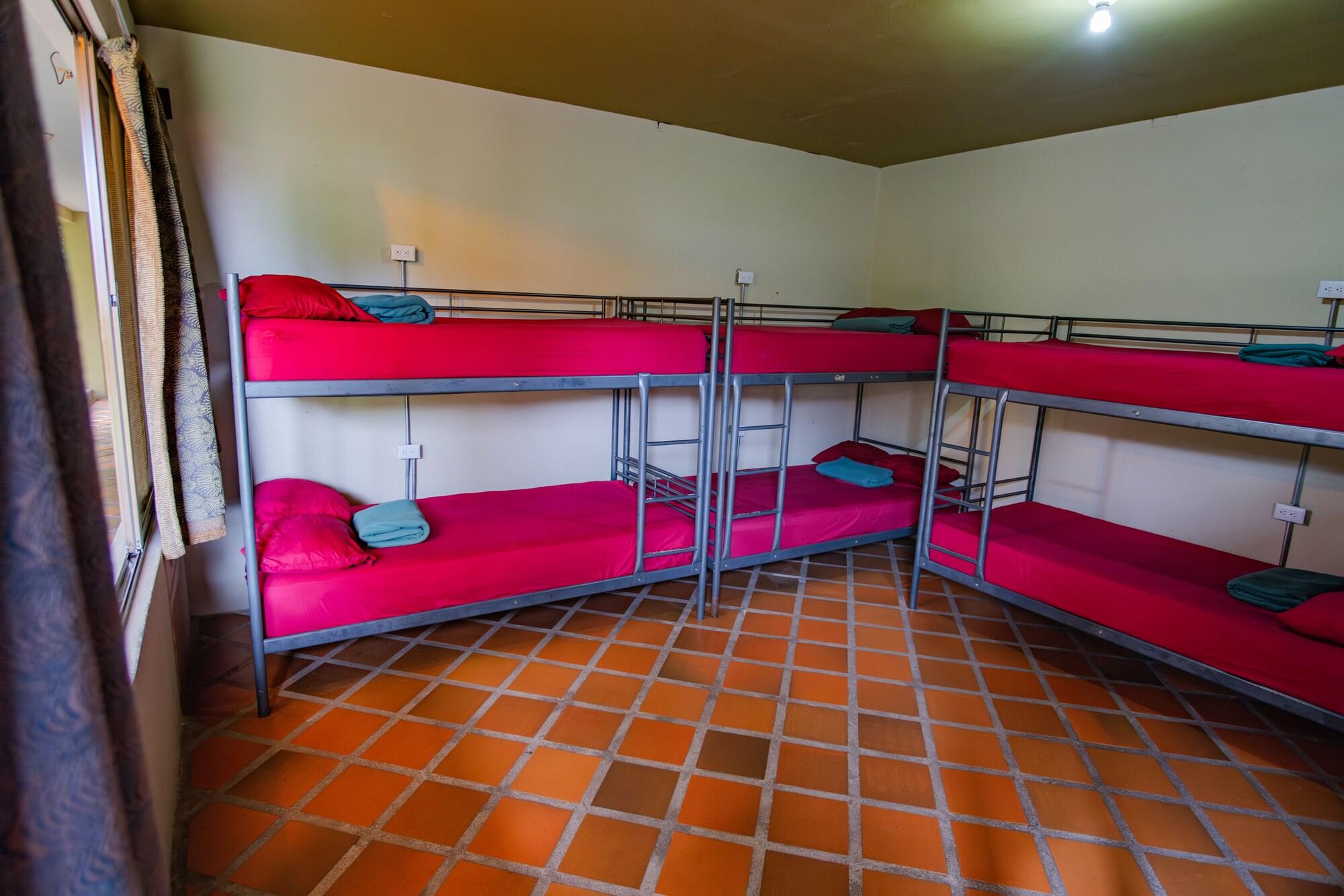 Habitación Arenal Backpackers Resort