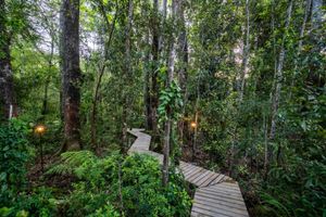 Alojamiento - rakau lodge