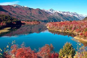 Paquete - Hostel Inn Bariloche