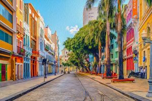 Actividad - Recife y Olinda City Tour