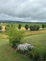 Alojamiento - Mountain Ash Farm Country Manor