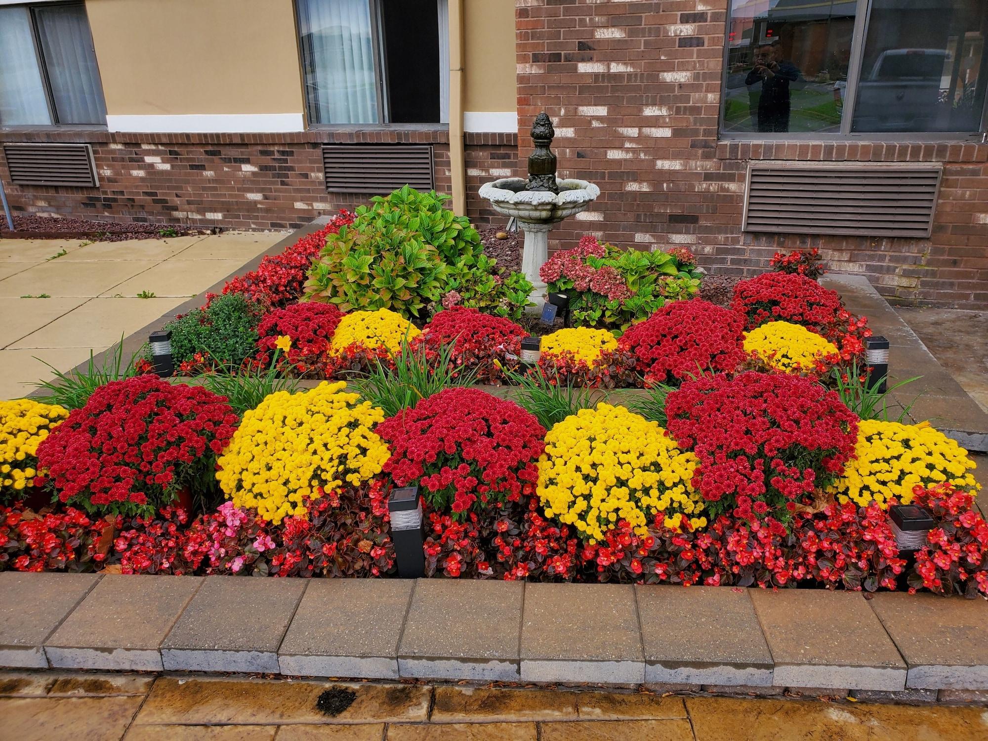 Vista Exterior Super 8 by Wyndham Sterling Heights/Detroit Area