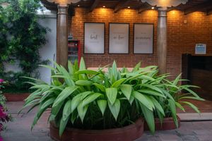 Alojamiento - Barbaras Boutique Hostel