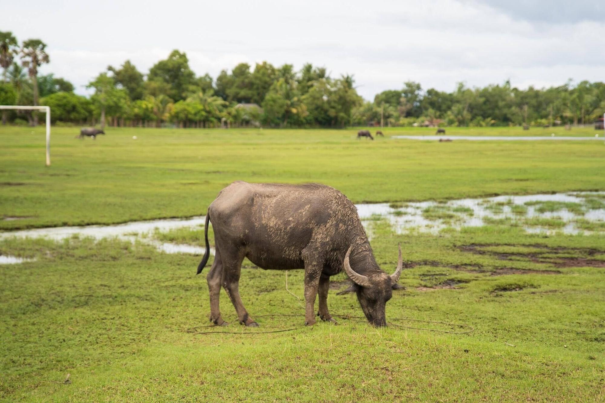 Instalaciones Recreativas Grandmom Place