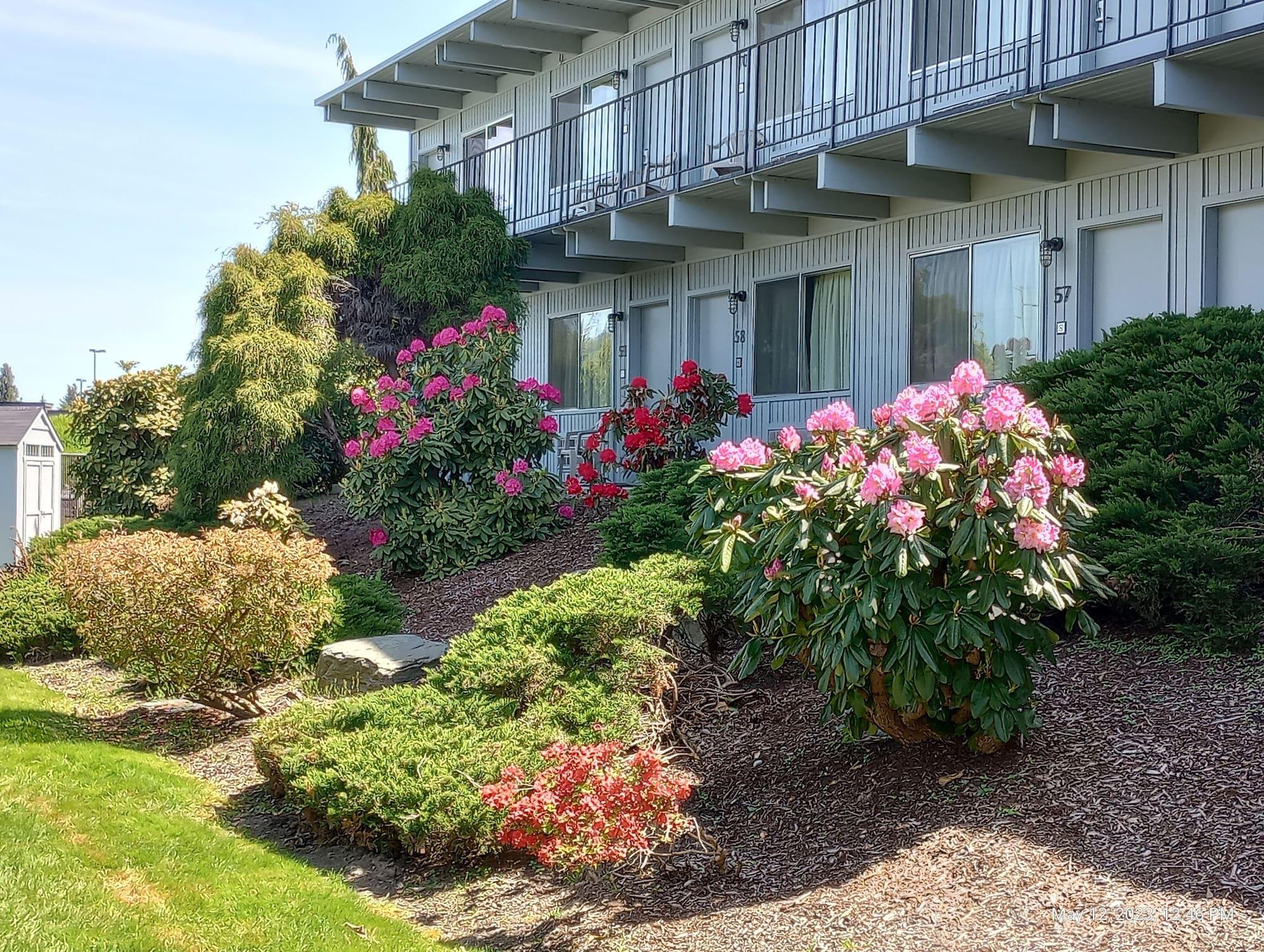 Vista Exterior Cocusa Motel