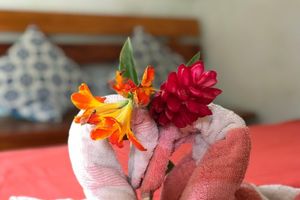 Alquiler Vacacional - Ayahuaska