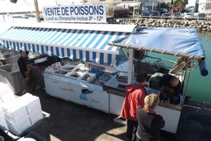 Alojamiento - Hôtel Le Carnon