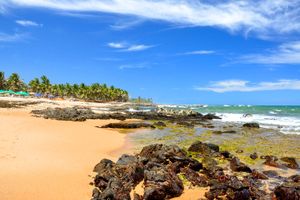 Pacote - Pacotes para Salvador