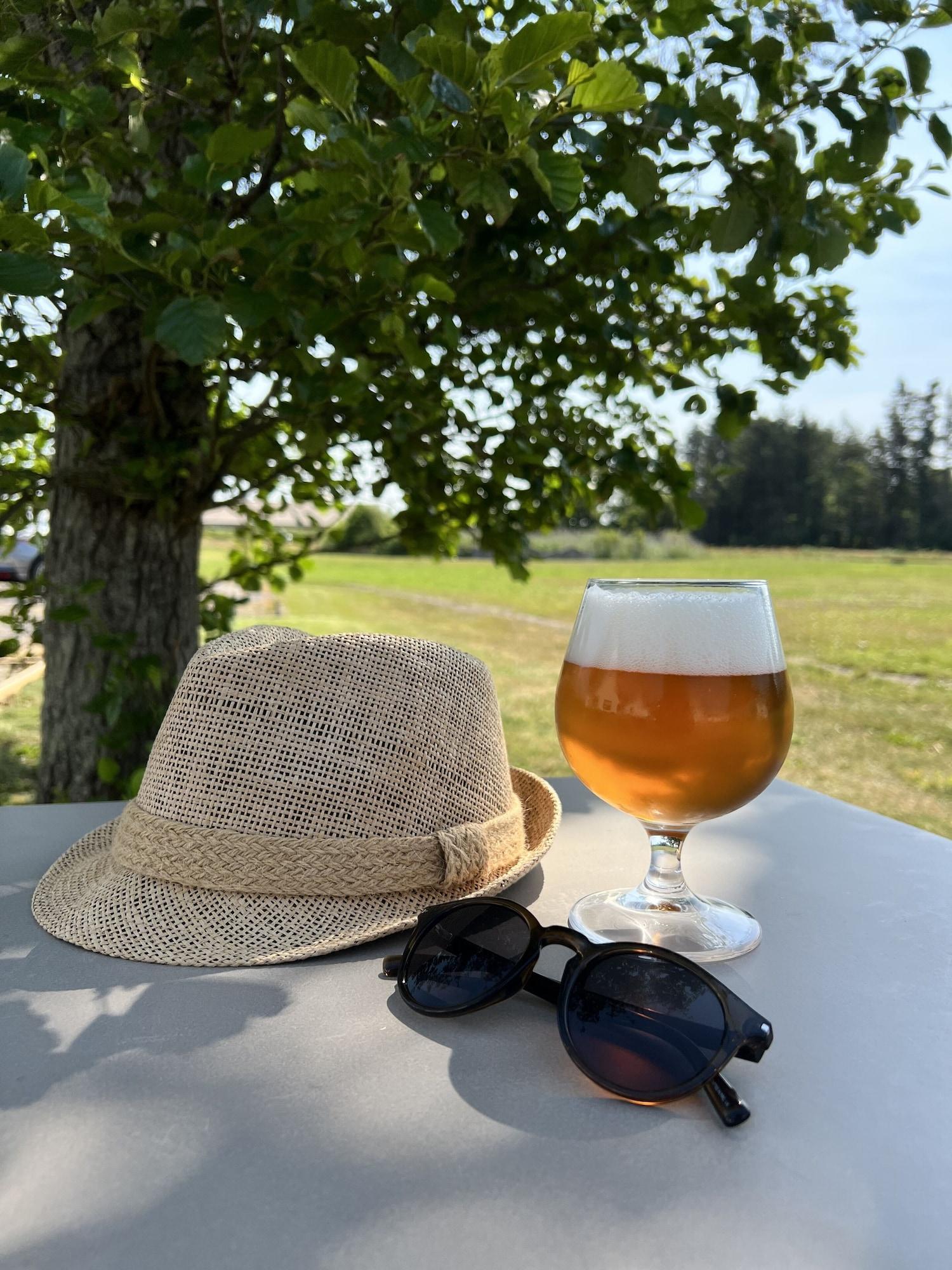 Vista Exterior Strandhotel Klitrosen