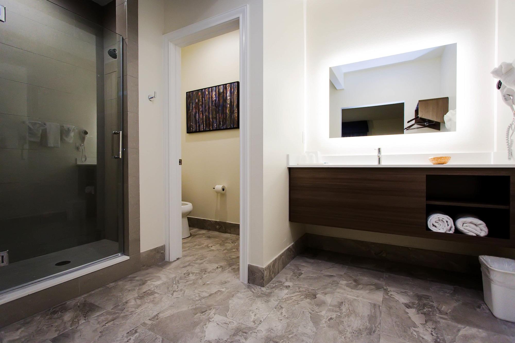 Equipamiento de Habitación Palace Inn Blue US 59 & Gessner