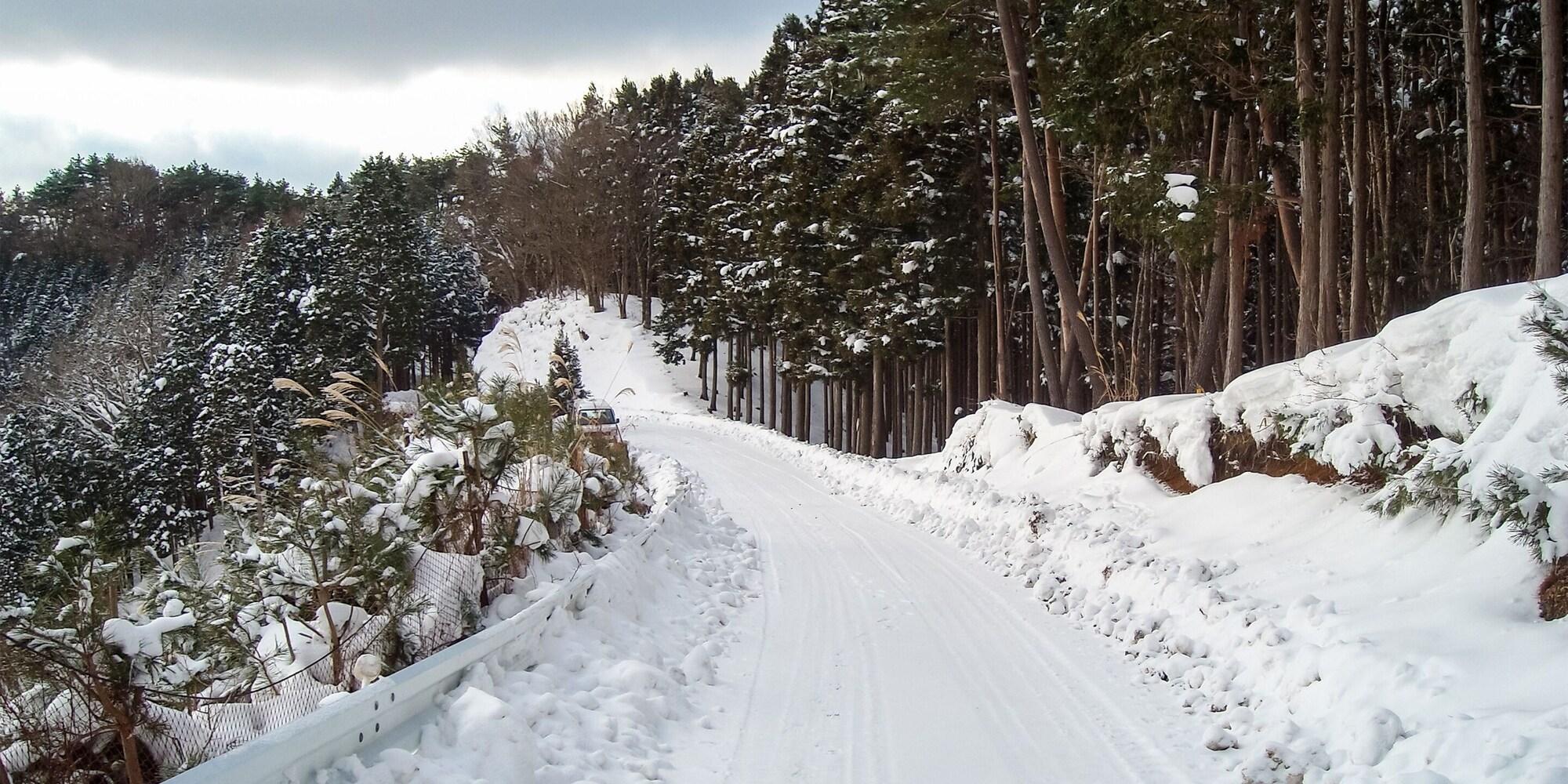 Varios Hotel Nosegawa