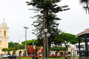 Actividad - Tour por Santiago de Surco