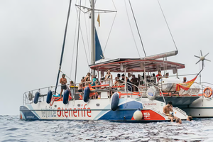 Actividad - Costa Adeje: Crucero de ballenas y delfines