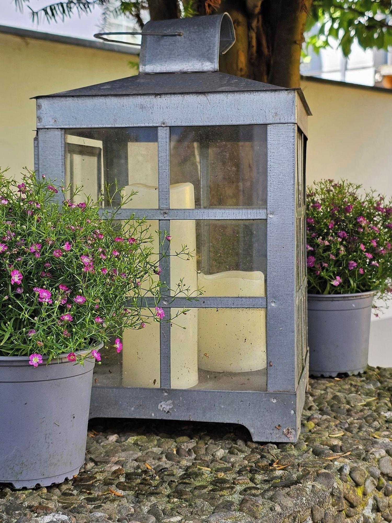 Vista Exterior Gästehaus Engelgasse