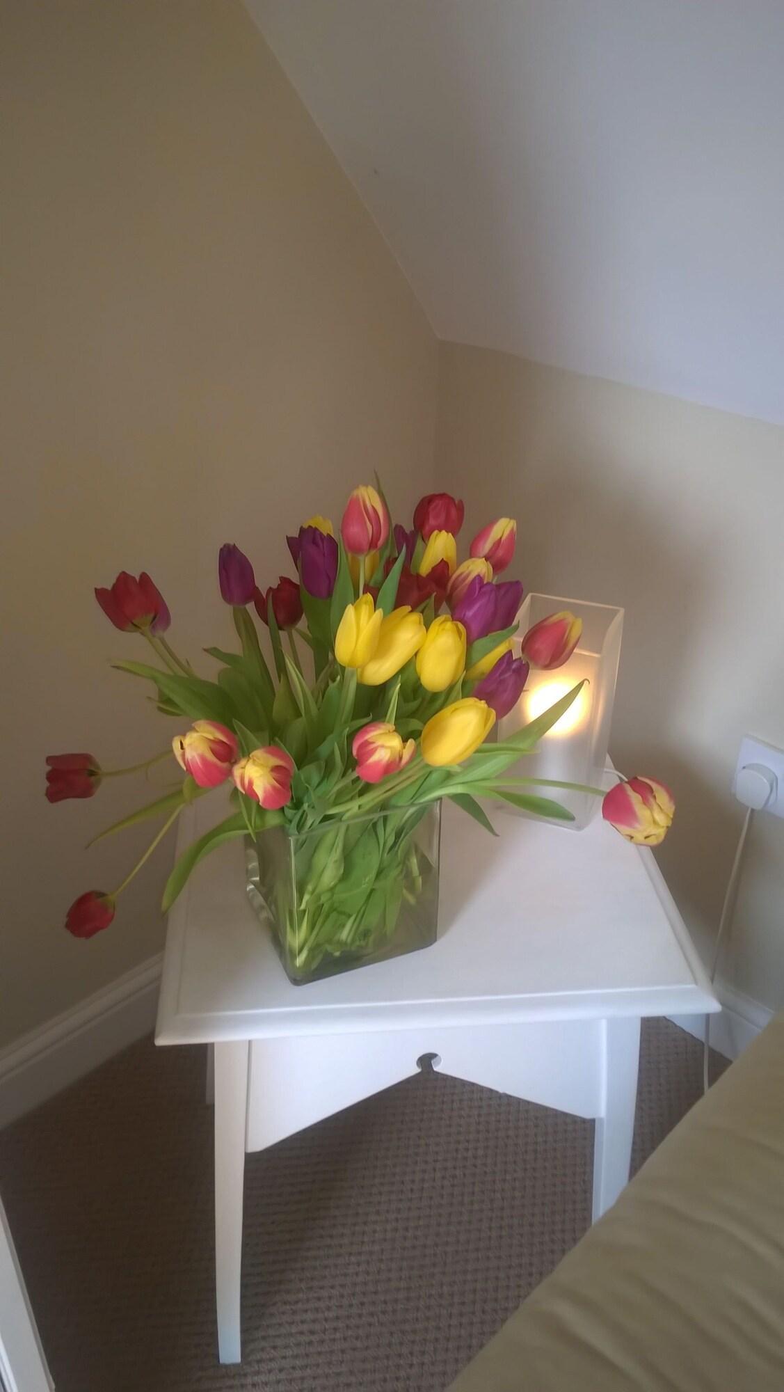 Habitación Rosebank Bed & Breakfast