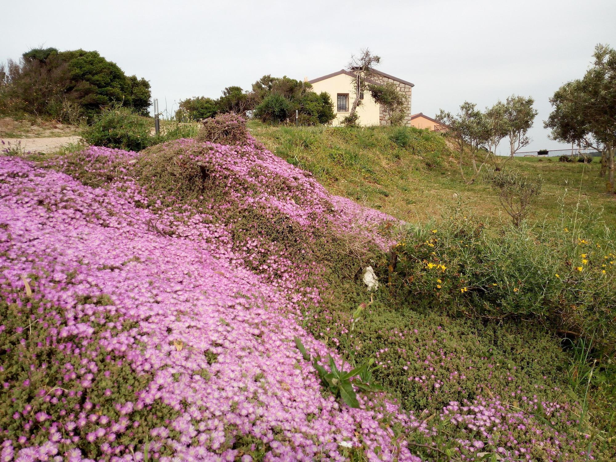 Vista Exterior Tenuta Petra Bianca