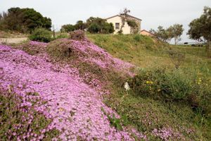 Alojamiento - Tenuta Petra Bianca