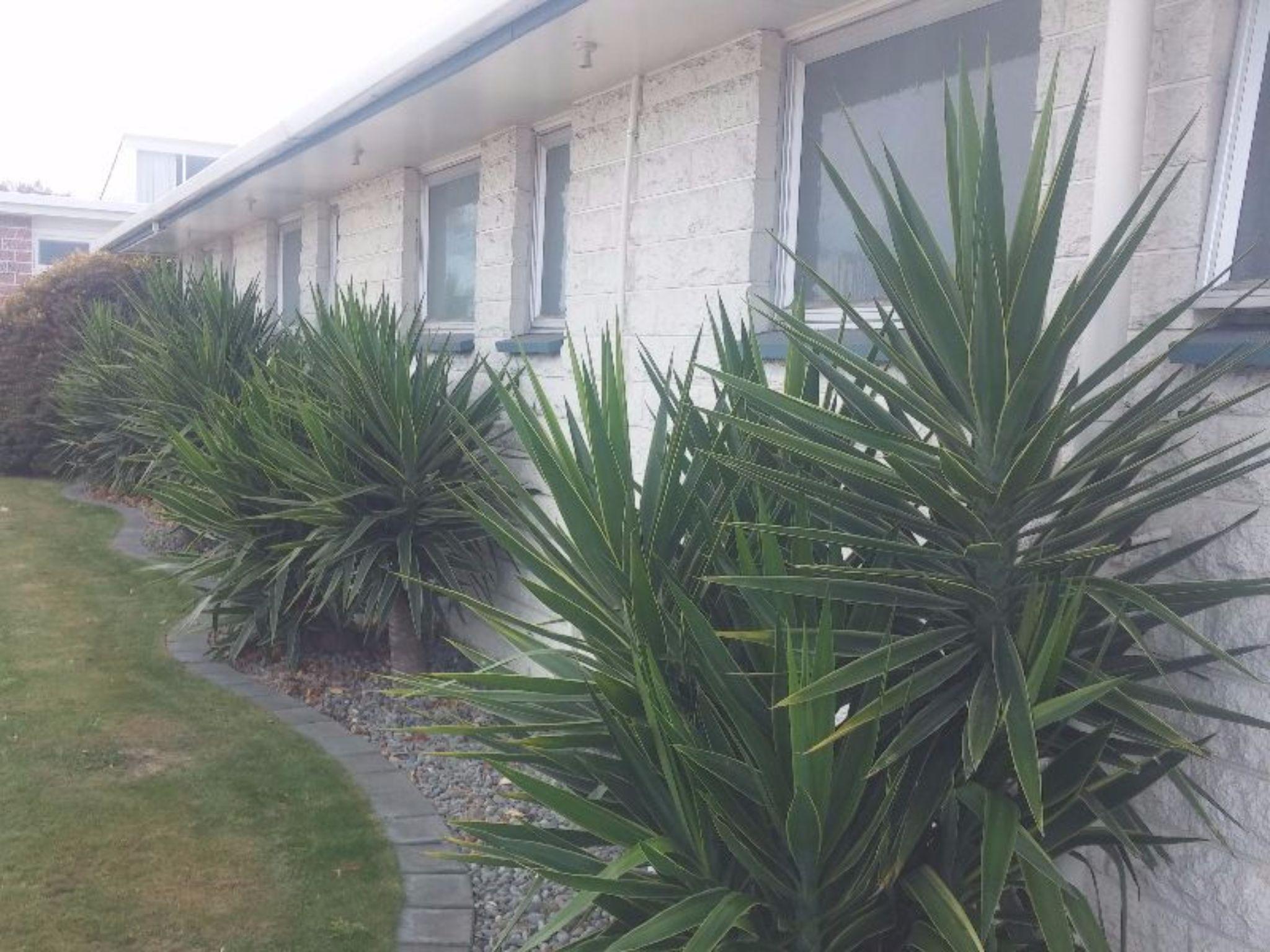 Vista Exterior Raymar Motor Inn