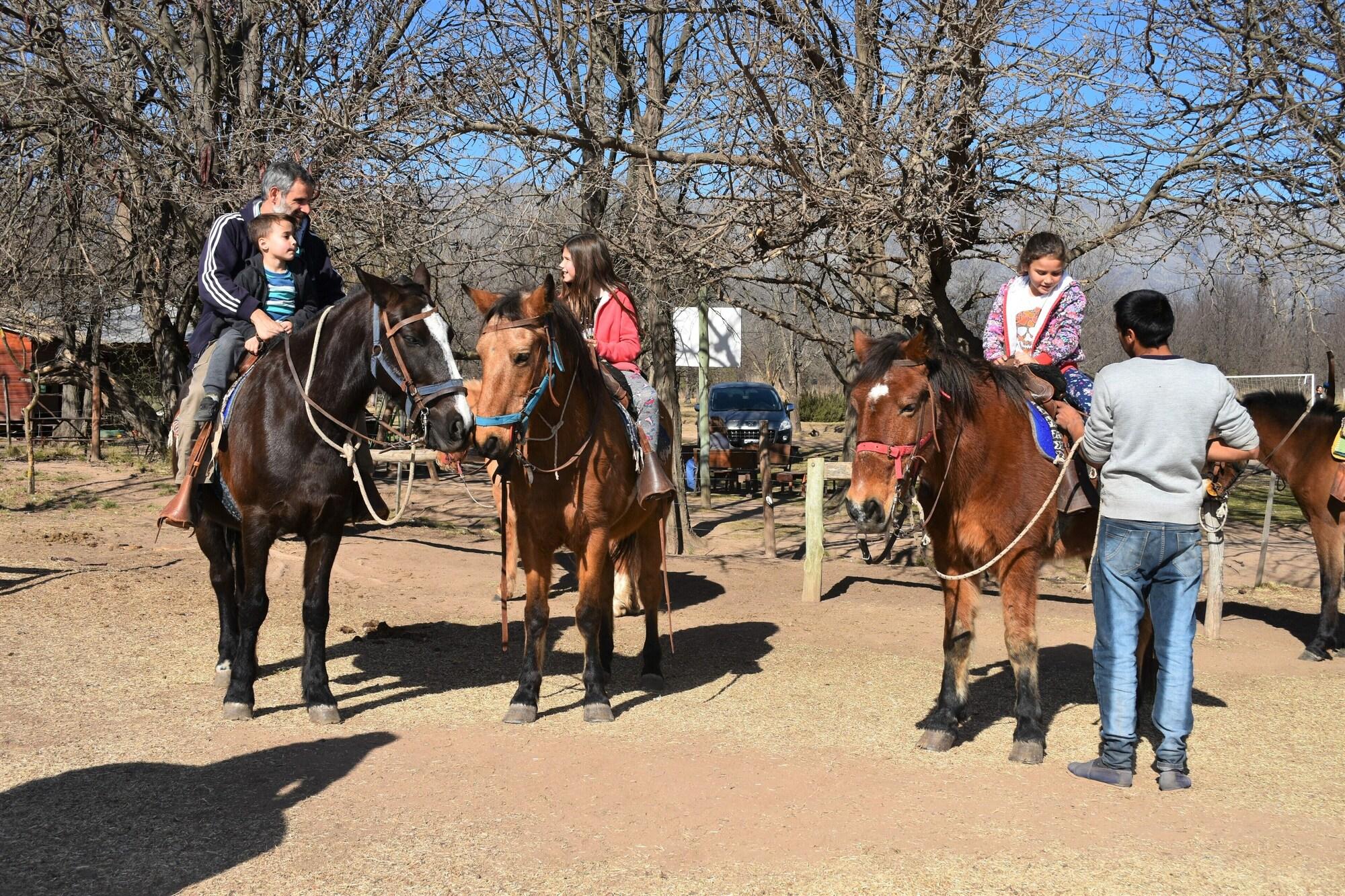 Instalaciones Recreativas Hotel de campo granja el aromo