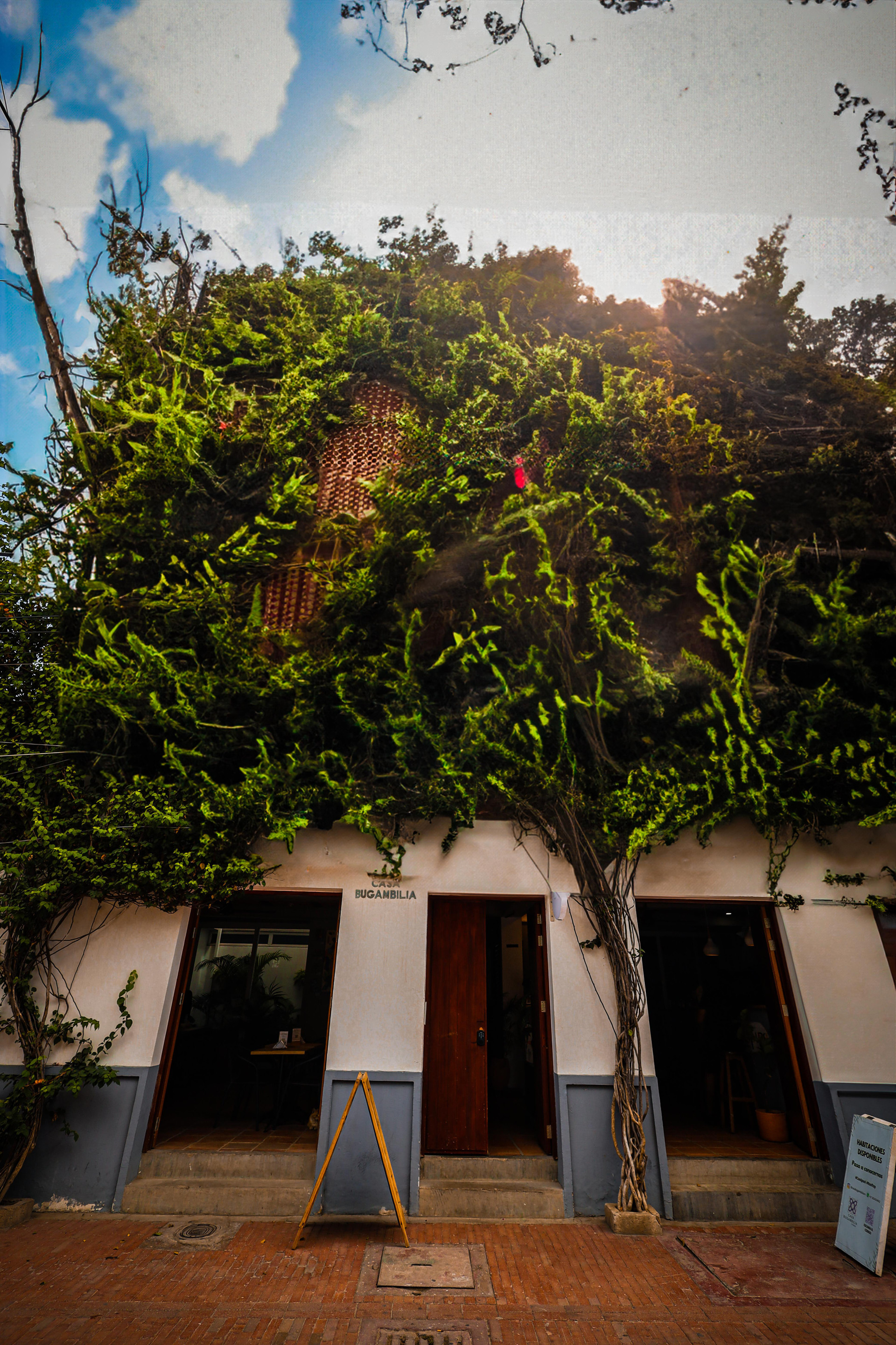 Vista Exterior CASA BUGAMBILIA ALMA HOTELS